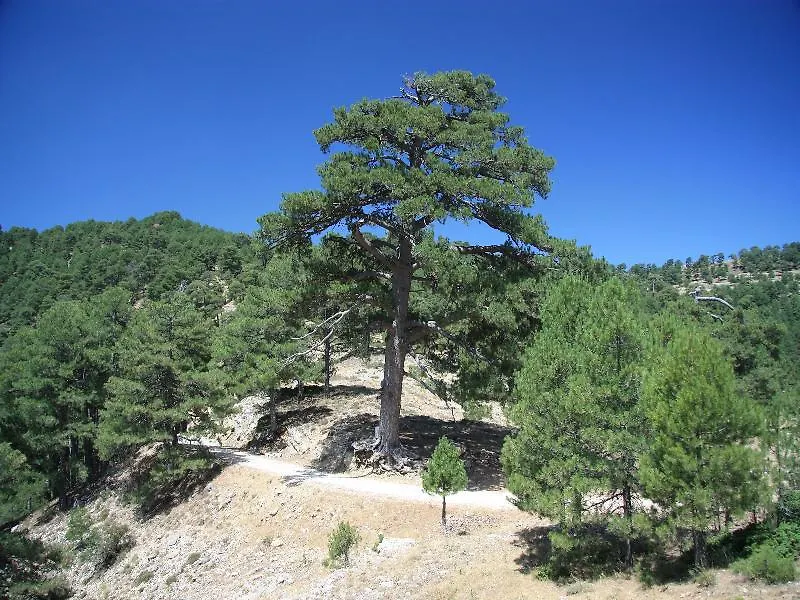 Apartamentos Rurales Campillo Arroyo Frio